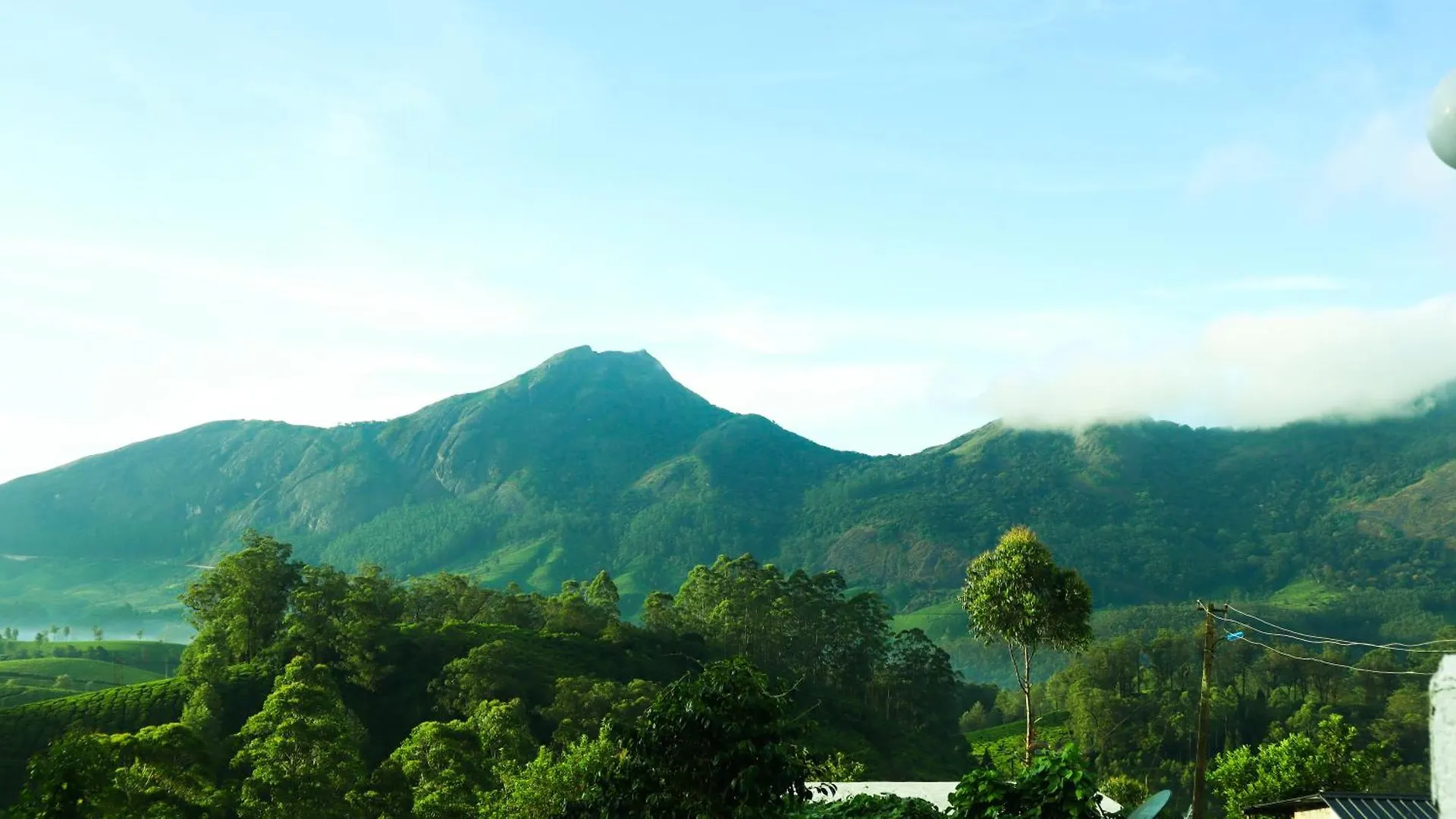 Munnar Valley View